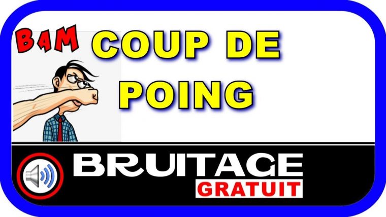 Coup De Poing Bruitage Gratuit – tout Bruit Animaux Gratuit