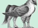 Créature Fantastique Dessin - Recherche Google  Mythical avec Dessin Animal