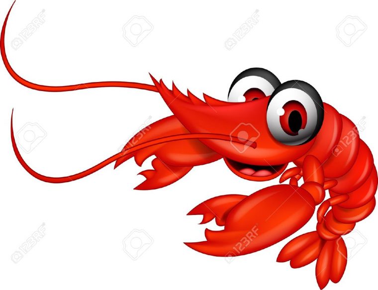 Crevettes Clipart 20 Free Cliparts  Download Images On intérieur Dessin De Crevette