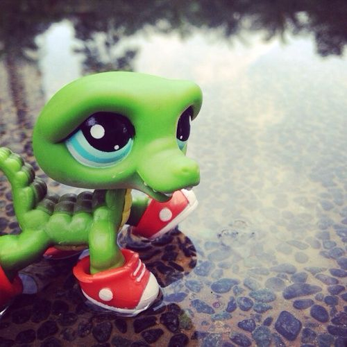 Crocodile, Lps, And Toy Image  Littlest Pet Shop, Pet dedans Petshop Crocodile 