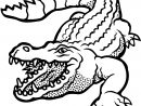 Crocodile With Open Mouth Coloring Page  Free Printable destiné Coloriage Crocodile