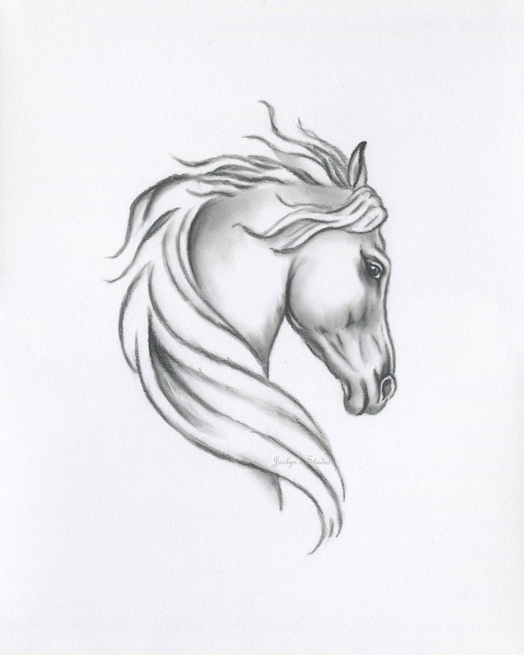 Croquis Original De Cheval Cheval Au Fusain Dessin 8 X  Etsy serapportantà Des Dessin De Cheval