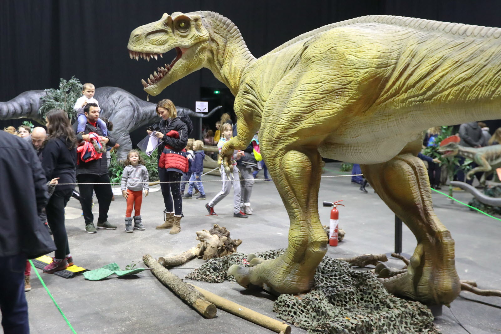 Culture - Loisirs  Chambéry : &quot;Le Monde Des Dinosaures destiné Les Petits Dinosaures