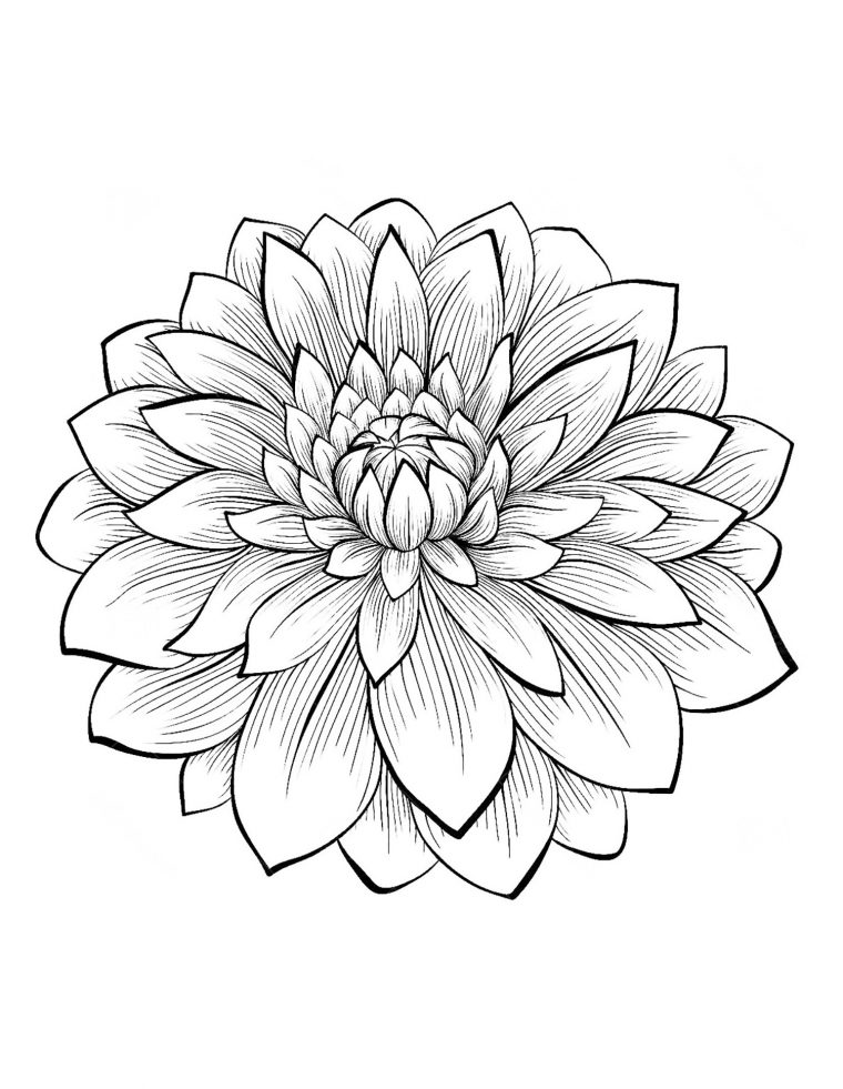 Dahlia – Coloriage De Fleurs – Coloriages Pour Enfants à Dessin Fleurs