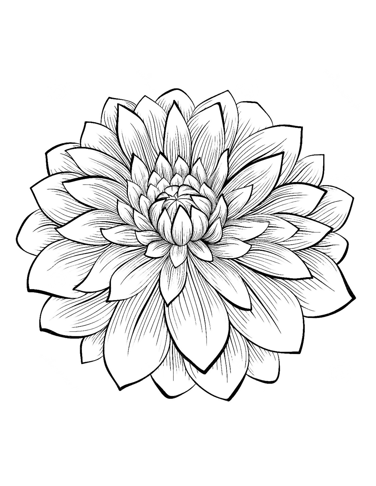 Dahlia - Coloriage De Fleurs - Coloriages Pour Enfants à Dessin Fleurs 