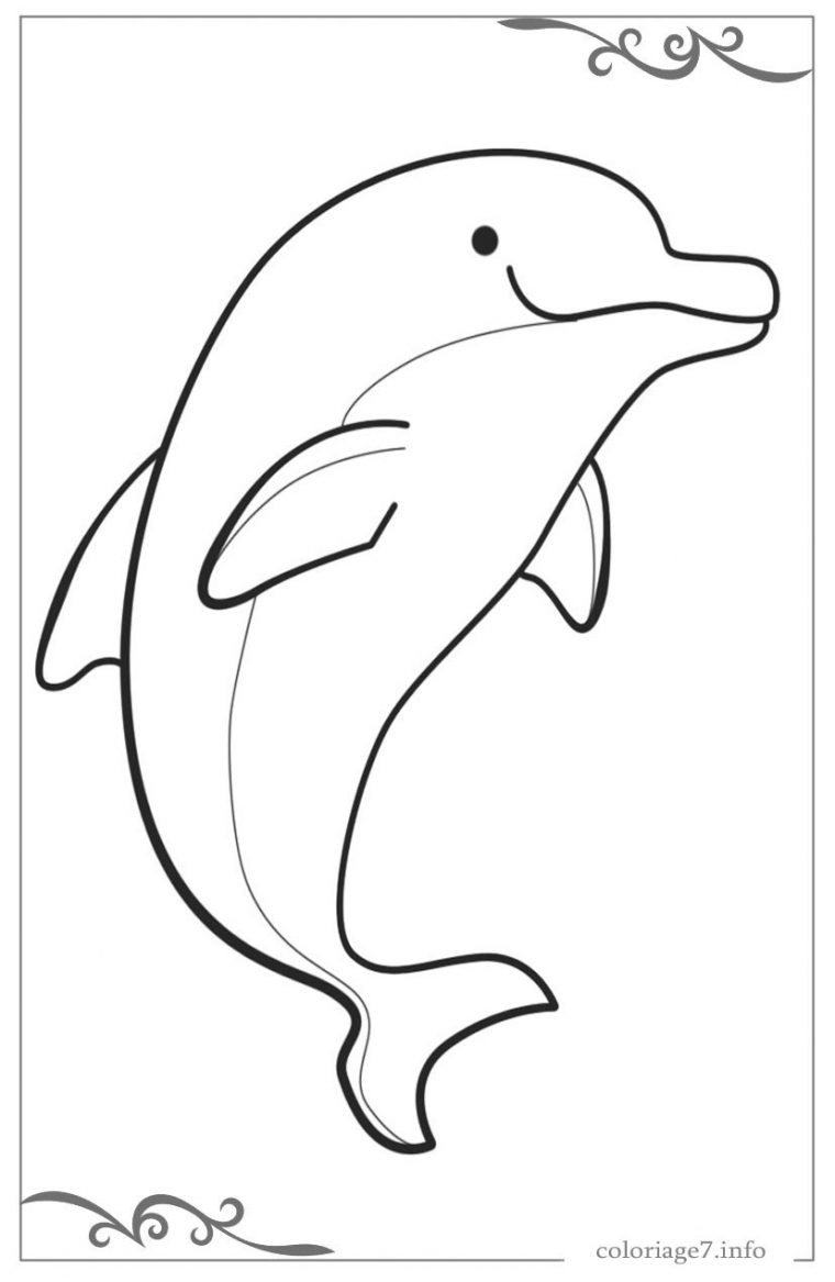 Dauphins Dessin A Imprimer Et Dessin A Colorier Gratuit tout Coloriage De Dauphin À Imprimer Gratuit