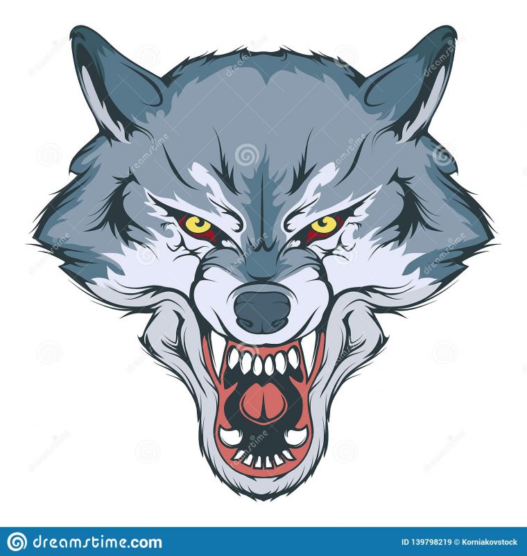 De Dessin Loup Stock Illustrations, Vecteurs, & Clipart serapportantà Loup Dessin