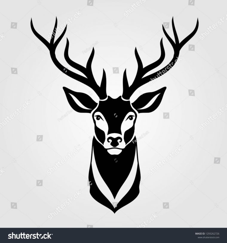 Deer Icon Isolated On White Background. Vector intérieur Dessin Tete Cerf