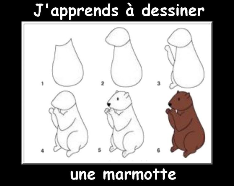 Des Fiches J'Apprends À Dessiner Les Animaux – La Classe à Apprendre A Dessiner Animaux