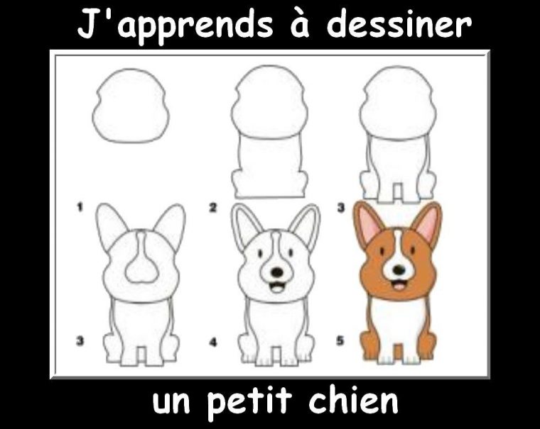 Des Fiches J'Apprends À Dessiner Les Animaux – La Classe pour Apprendre A Dessiner Animaux