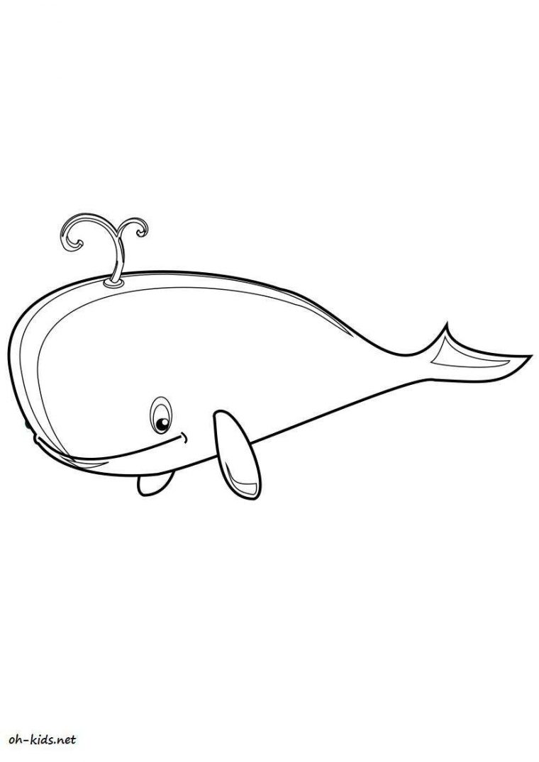 Dessin #19 – Coloriage Baleine À Imprimer – Oh-Kids dedans Coloriage Baleine