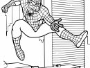 Dessin #834 - Coloriage Spiderman À Imprimer - Oh-Kids tout Spiderman A Colorier
