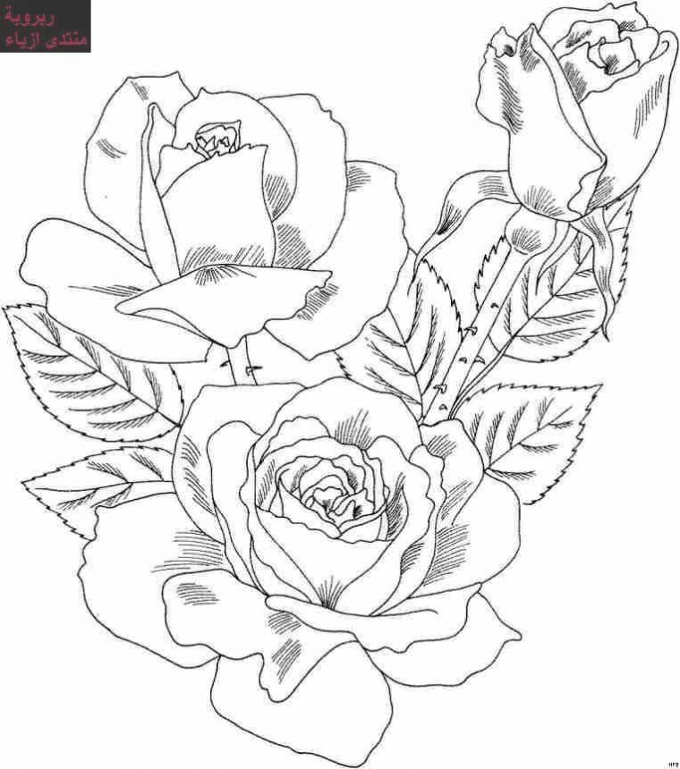 Dessin A Colorier Gratuit De Fleurs – Free To Print intérieur Rose À Colorier