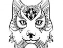 Dessin A Colorier Mandala Nouveau Image Coloriage Animaux tout Coloriage De Lynx