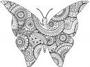 Dessin A Imprimer Papillon Gratuit - Primanyc destiné Image Papillon À Imprimer