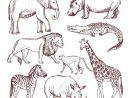 Dessin Animaux Savane : Coloriage Animaux Sauvages De destiné Coloriage Savane Africaine