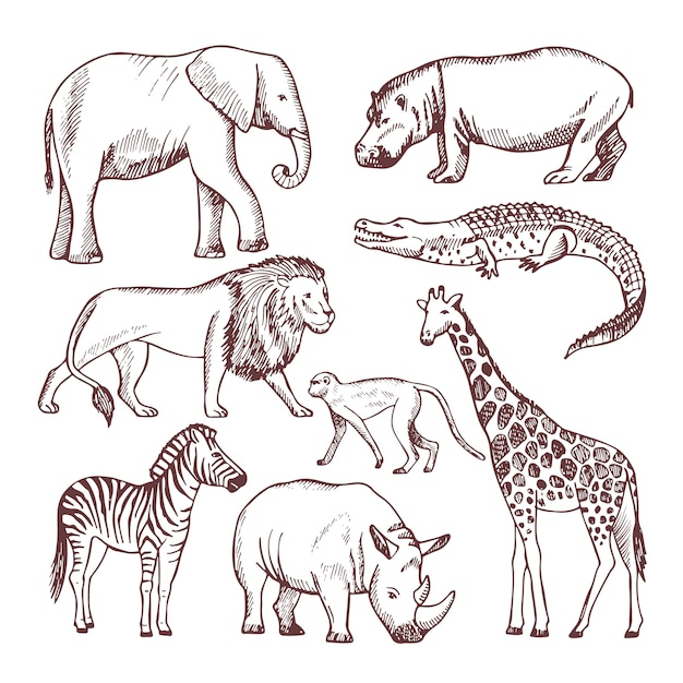 Dessin Animaux Savane : Coloriage Animaux Sauvages De destiné Coloriage Savane Africaine