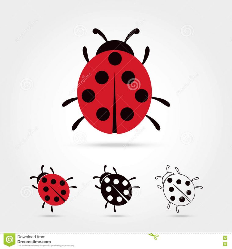 Dessin Animé Mignon De Coccinelle Illustration De Vecteur à Coccinelle Dessin Couleur