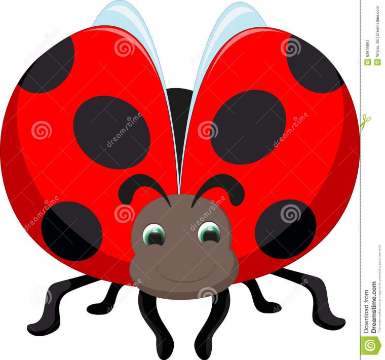 Dessin Animé Mignon De Coccinelle Illustration De Vecteur tout Coccinelle Dessin Couleur