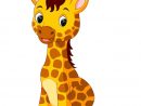 Dessin Animé Mignon De Girafe  Vecteur Premium destiné Dessins Girafe