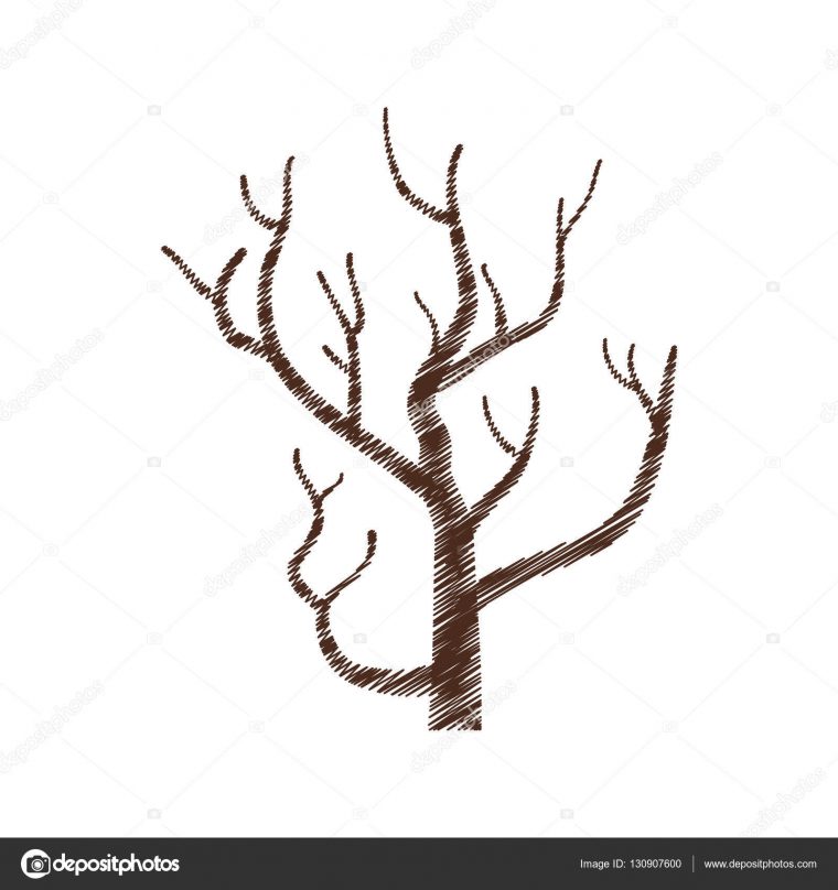 Dessin Branche D Arbre – 1Stepclinic avec Dessin D Arbre