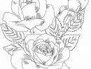 Dessin Coloriage Bouquet De Rose - Coloriage Ideas concernant Dessin De Rose A Imprimer