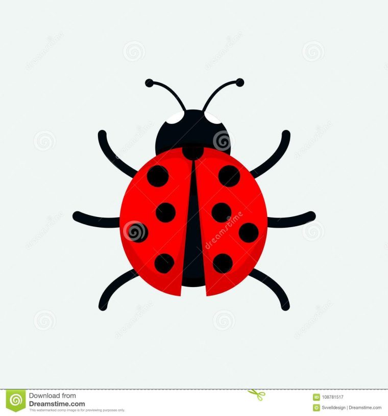 Dessin Couleur Coccinelle  Lady Bug Dessin – Dessin Et dedans Coccinelle Dessin Couleur