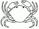 Dessin Crabe #4759 (Animaux) À Colorier - Coloriages À destiné Coloriage De Crabe