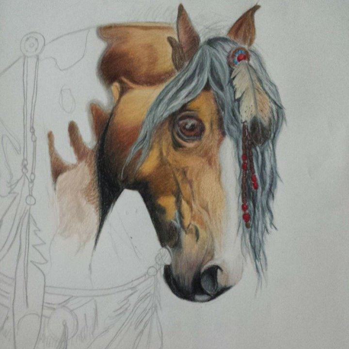 Dessin Crayons Prismacolor En Cours! Inspiré D&amp;#039;Une Image dedans Dessin Des Chevaux 