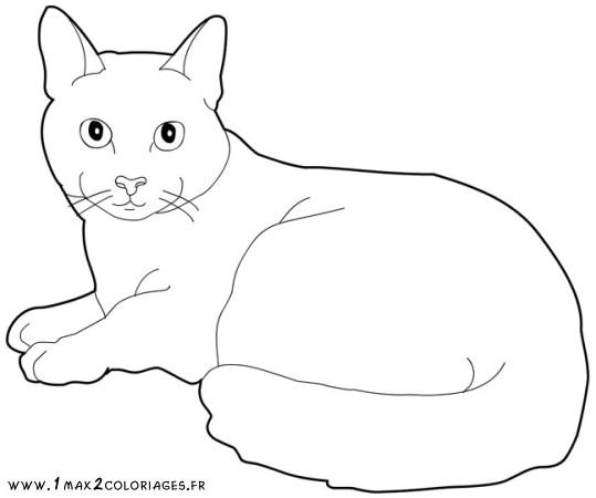 Dessin De Chat Mignon A Imprimer - Les Dessins Et Coloriage intérieur Images De Chats A Imprimer 