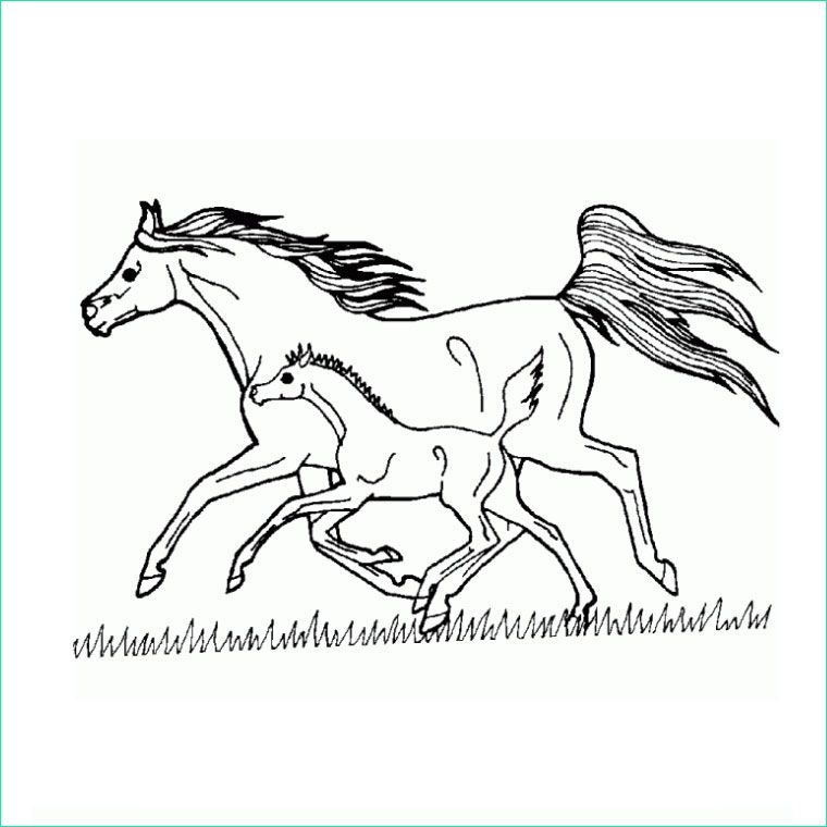 Dessin De Cheval Au Galop Cool Images Dessins En Couleurs à Coloriage Cheval Au Galop 