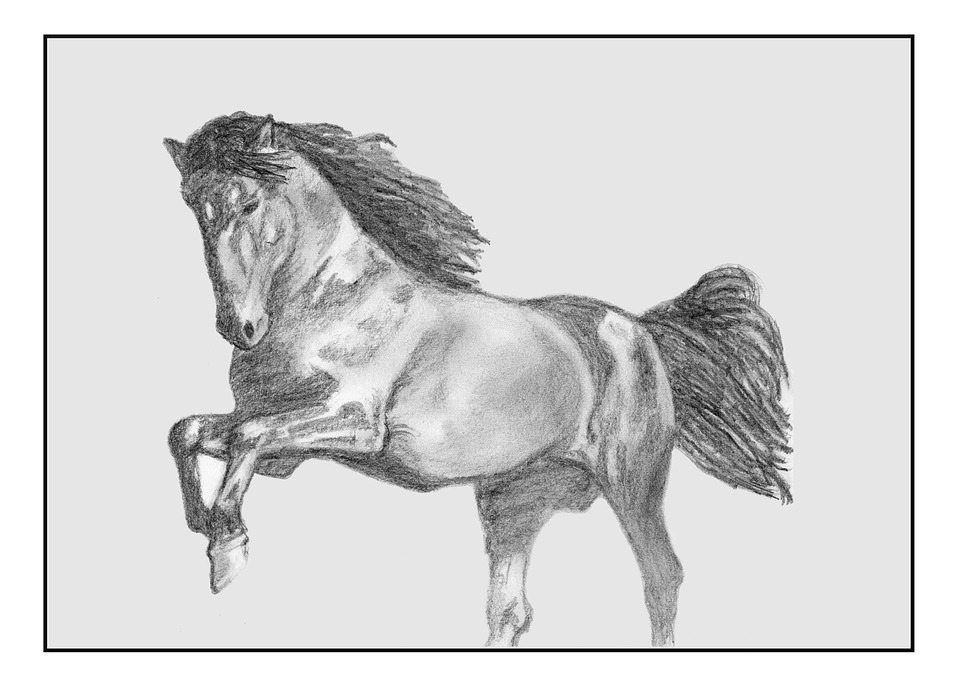 Dessin De Cheval avec Dessin Des Chevaux