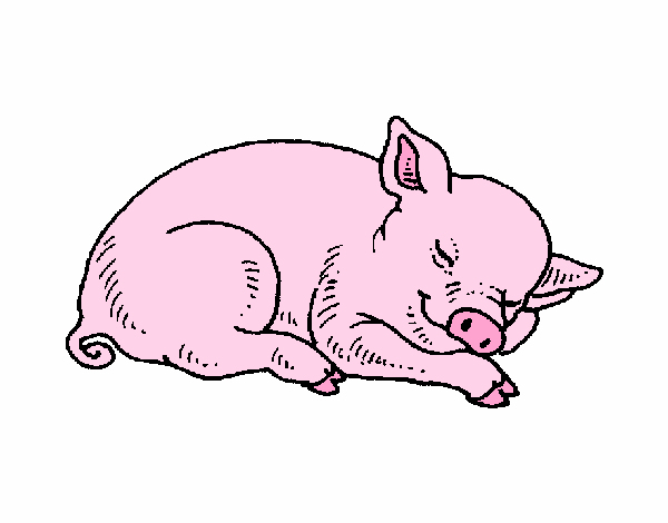 Dessin De Cochon Qui Dort Colorie Par Membre Non Inscrit serapportantà Dessin Cochon 