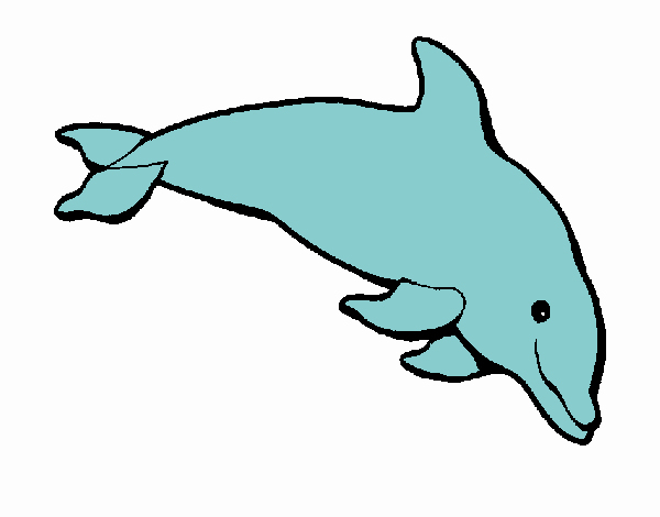 Dessin De Dauphin Content Colorie Par Membre Non Inscrit pour Dessin Dauphins 