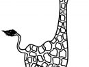 Dessin De Girafe - Les Dessins Et Coloriage avec Coloriage Girafe