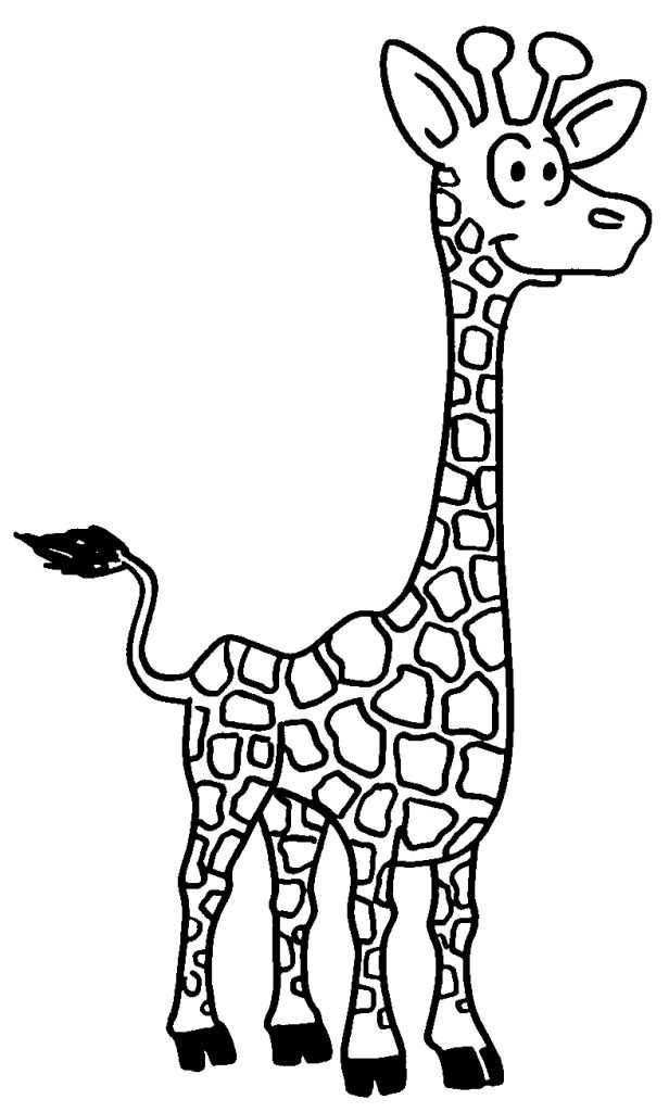 Dessin De Girafe - Les Dessins Et Coloriage avec Coloriage Girafe 