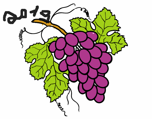 Dessin De Grappe De Raisin Colorie Par Membre Non Inscrit dedans Dessin Grappe De Raisin Et Feuille De Vigne 