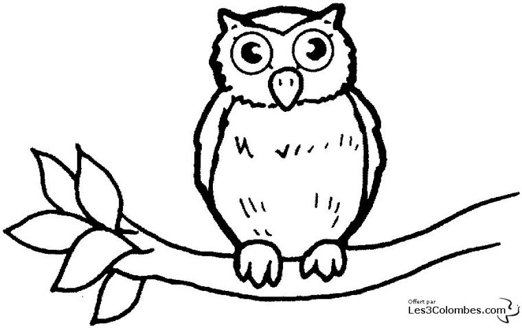 Dessin De Hibou (3) dedans Dessins Hibou