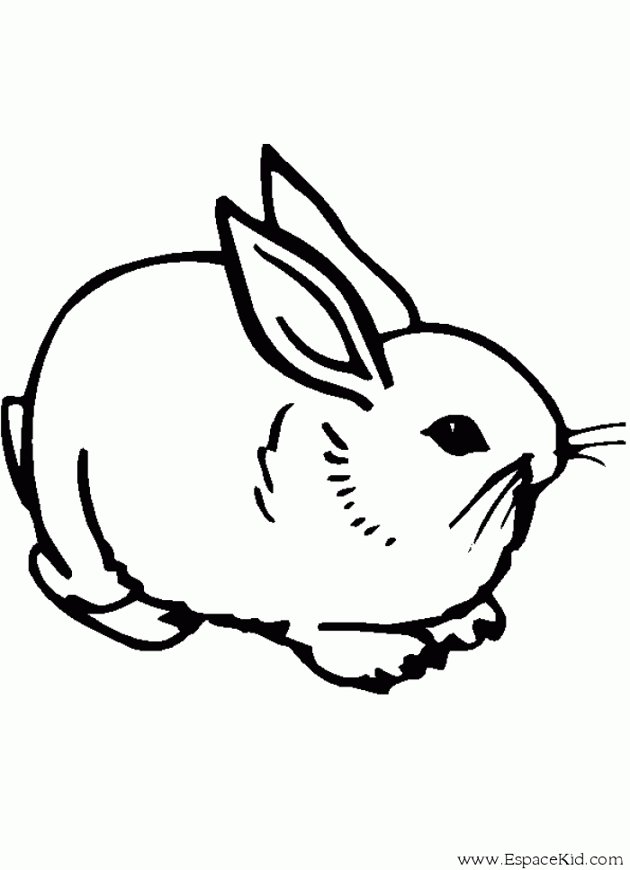 Dessin De Lapin (6) dedans Lapins Dessins 