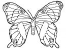 Dessin De Papillon À Colorier - Coloriage De Papillons intérieur Masque Papillon À Imprimer