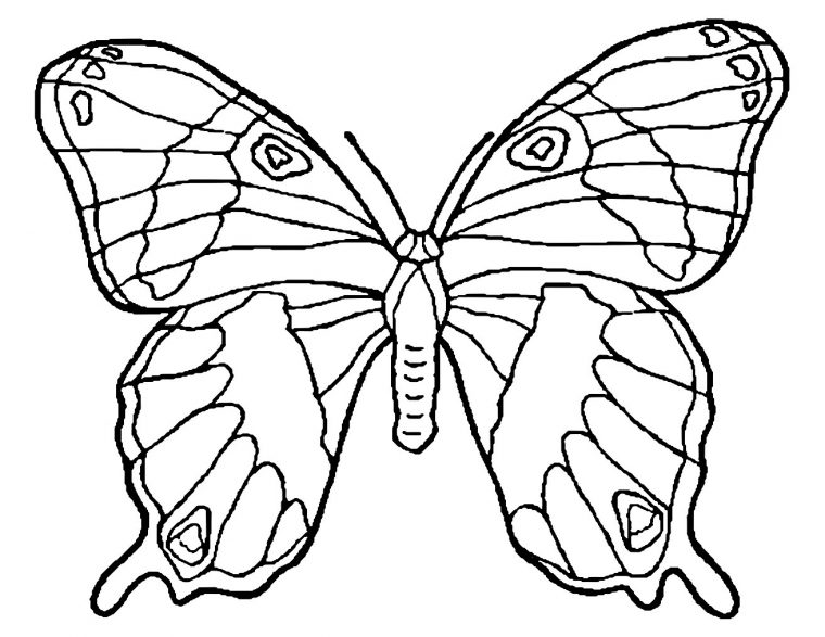 Dessin De Papillon À Colorier – Coloriage De Papillons intérieur Masque Papillon À Imprimer