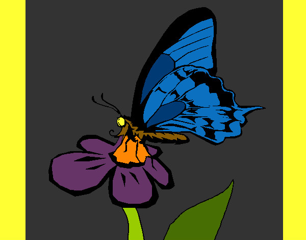 Dessin De Papillon Sur Une Fleur Colorie Par Kake Le 08 De pour Papillon Image Dessin
