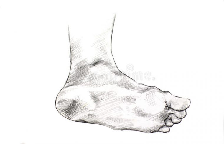 Dessin De Pied Illustration De Vecteur. Illustration Du destiné Pied Dessin