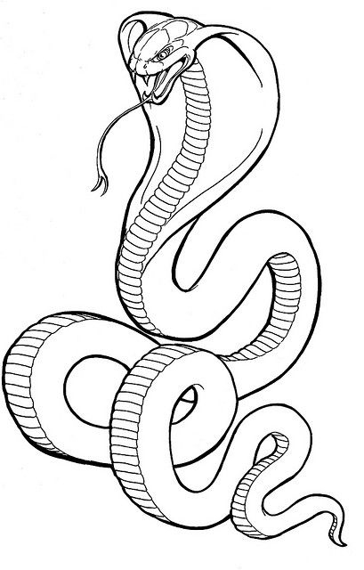 Dessin De Serpent - Les Dessins Et Coloriage destiné Coloriage Serpent 