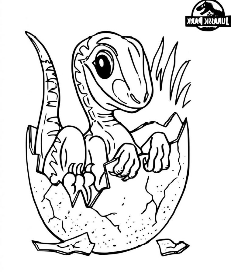 Dessin Dinosaure Cool Collection Résultat De Recherche D encequiconcerne Dessin Dinosaure Facile