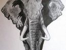 Dessin D'Un Éléphant D'Afrique  Art Animalier, Elephant serapportantà Dessin D Elephant