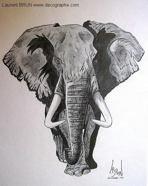 Dessin D'Un Éléphant D'Afrique  Art Animalier, Elephant serapportantà Dessin D Elephant