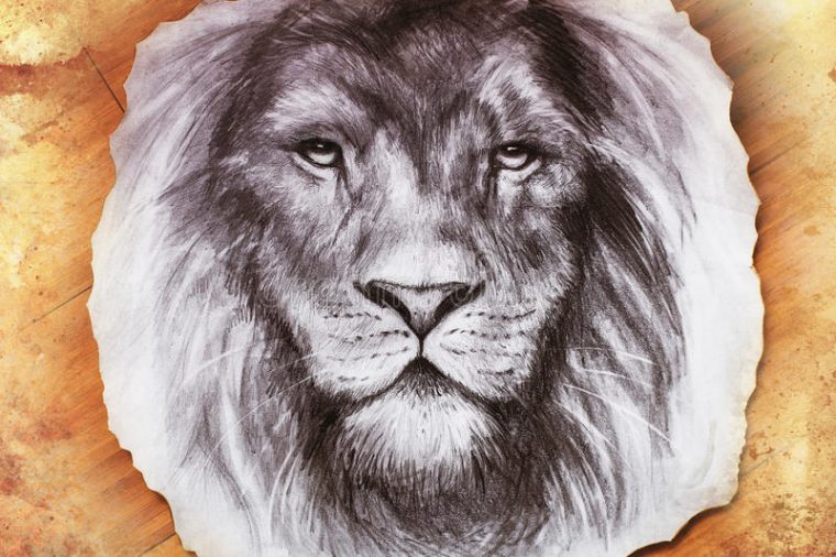 Dessin D'Une Tête De Lion Avec A Majestueux Illustration intérieur Dessin De Tete De Lion