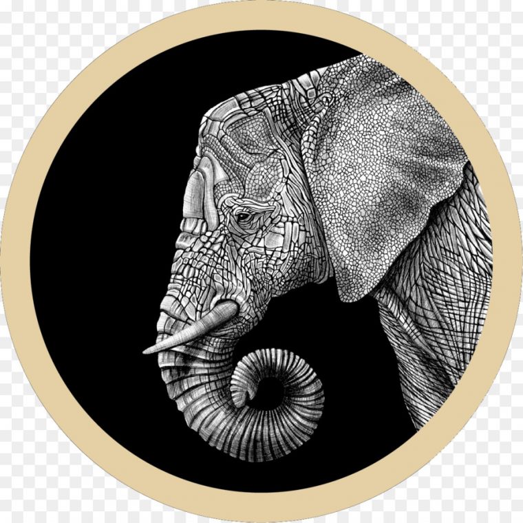 Dessin Elephant Indou : Sticker Elephant Indien Decore destiné Inde Dessin