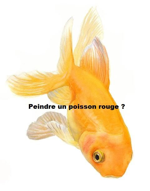 Dessin Et Peinture - Vidéo 3086 : Comment Peindre Un dedans Dessiner Un Poisson Rouge 